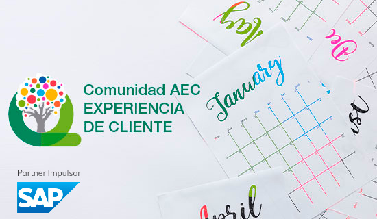 Planificación Comunidad Experiencia Cliente AEC
